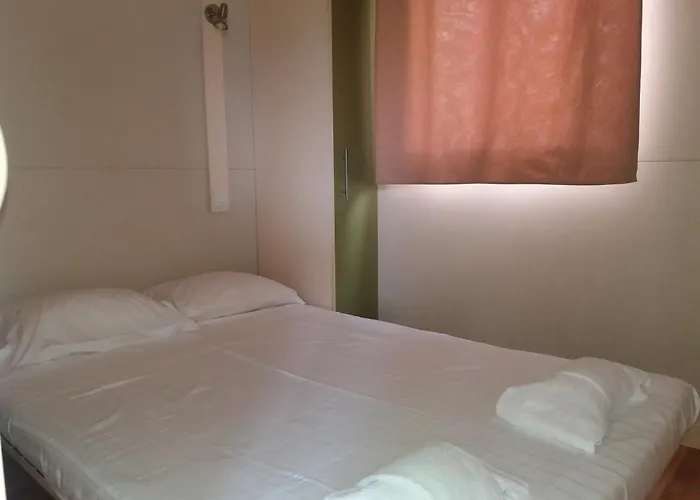 & キャンプ場 2*