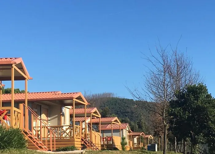 キャンプ場 &