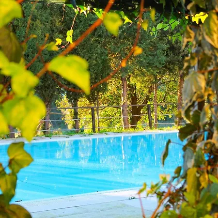 Camping & Coimbra