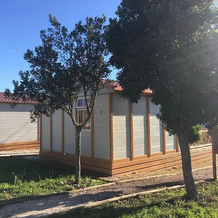 Camping & Coimbra